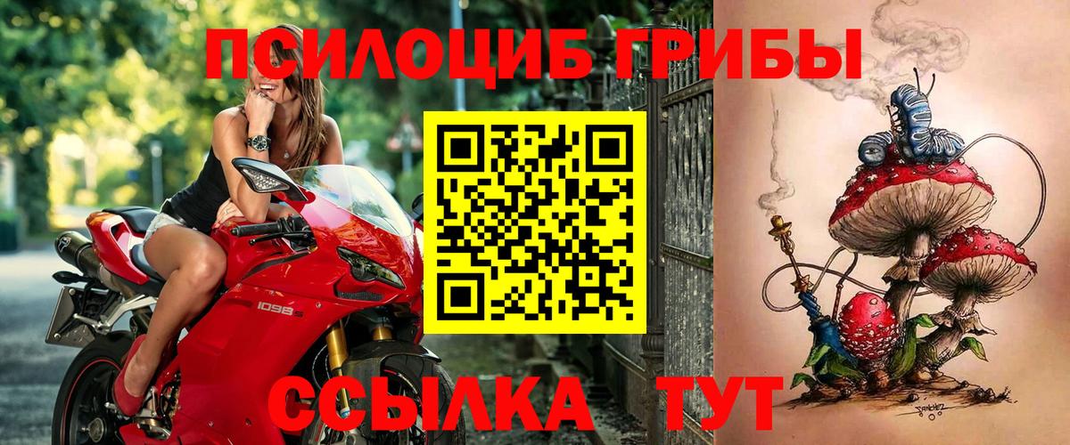 Ставрополь  цены   Вход с VPN  Псилоцибиновые грибы MAGIC MUSHROOMS 