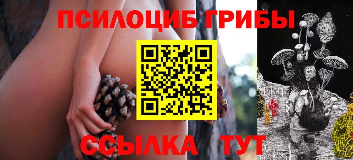 Псилоцибиновые грибы GOLDEN TEACHER Ставрополь
